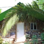 Jungle Book Campsite Goa: a Sustainable Wildlife Retreat