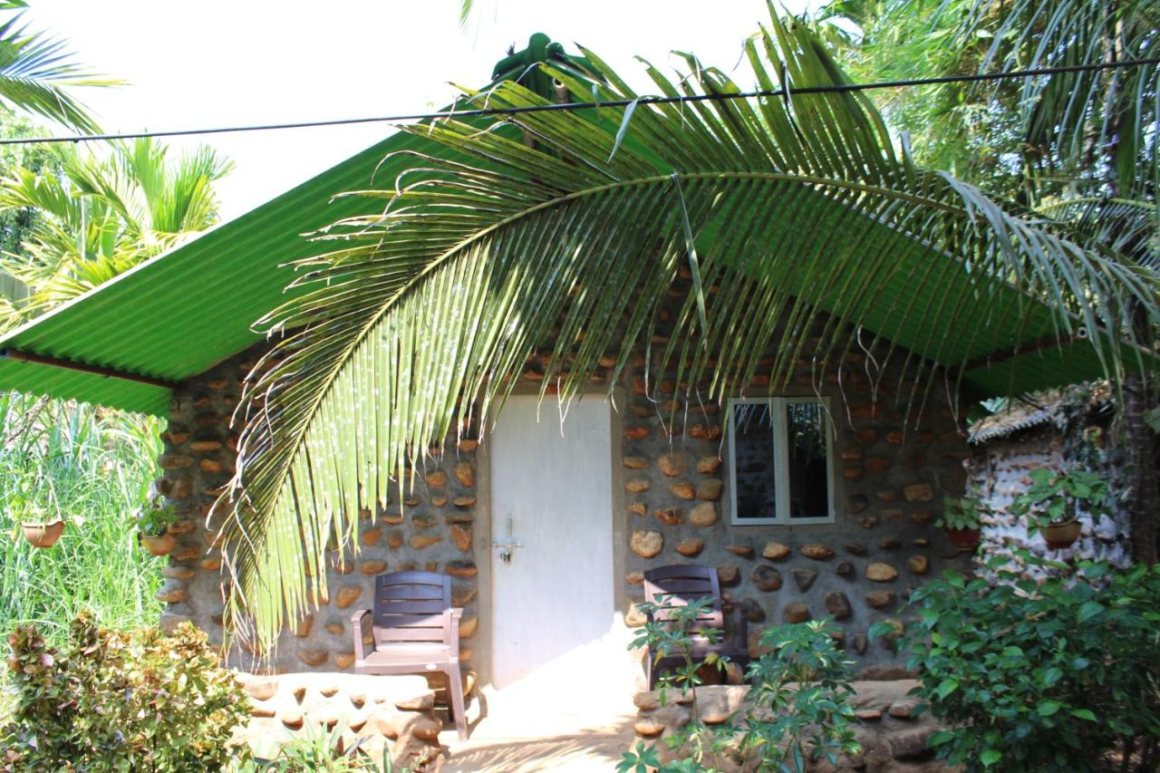Jungle Book Campsite Goa