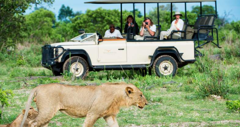 Thrilling Wildlife Safari in Botswana